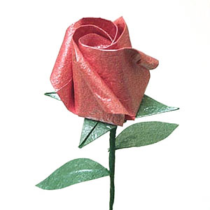 red standard rose