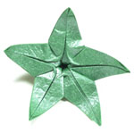 CB superior origami calyx with five sepals