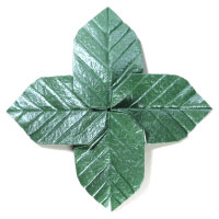 Quadruple Origami Leaf III