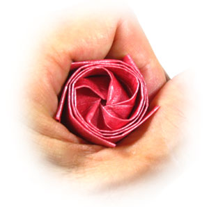 Dream origami rose paper flower 21