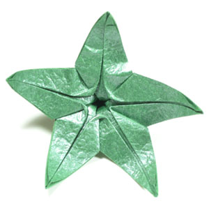 five-sepals CB standard origami calyx