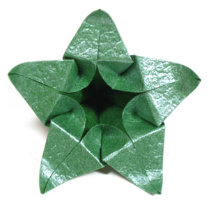 31th picture of Five-sepals standard origami calyx