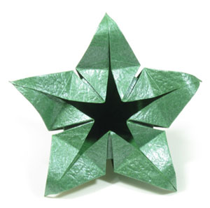 24th picture of Five-sepals super origami calyx