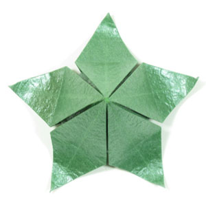 25th picture of Five-sepals super origami calyx