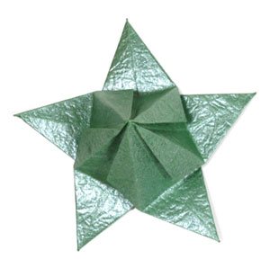 1st picture of Five-sepals superior origami calyx