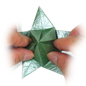 2nd picture of Five-sepals superior origami calyx