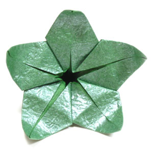 9th picture of Five-sepals superior origami calyx