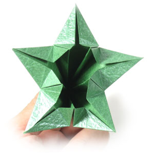 five-sepals supreme origami calyx 16