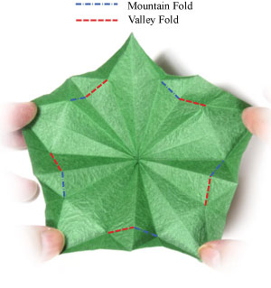 five-sepals supreme origami calyx 17