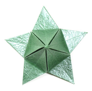 five-sepals supreme origami calyx 21