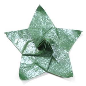 28th picture of Five-sepals supreme origami calyx