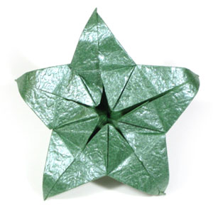 five-sepals supreme origami calyx 29