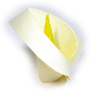 21th picture of origami Calla Lily