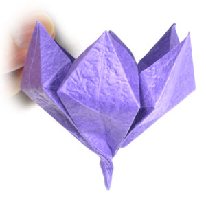 32th picture of origami crocus flower