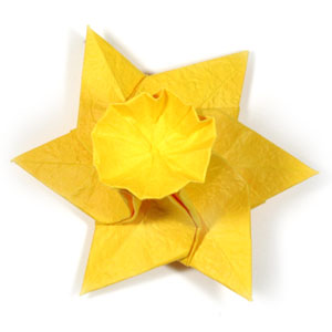 41th picture of origami daffodil flower