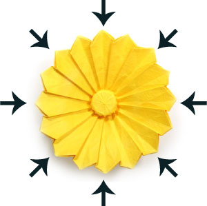 29th picture of origami daisy flower III