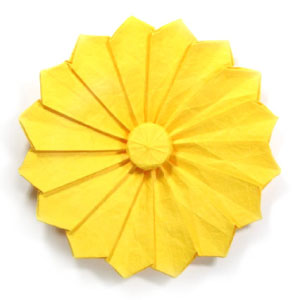 30th picture of origami daisy flower III