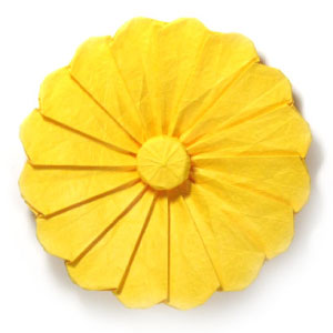 Origami Daisy Diagram