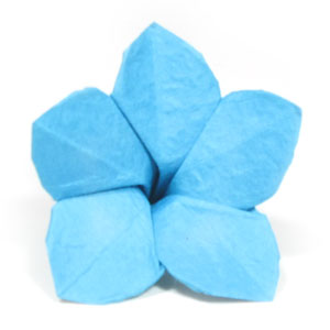 30th picture of origami forget-me-not flower