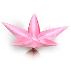 30th picture of origami frangipani flower