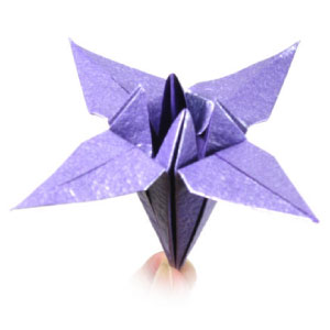 origami iris flower