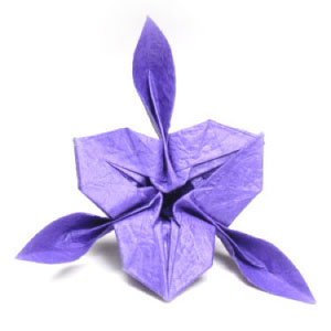 origami iris flower