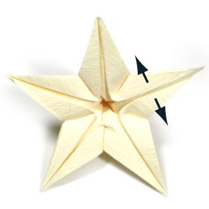 28th picture of origami jasmine flower