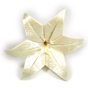 20th picture of origami lily with six petals