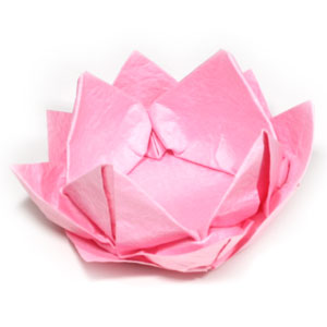 49th picture of new origami lotus flower