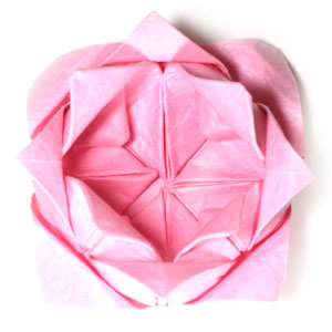 43th picture of traditional origami lotus flower