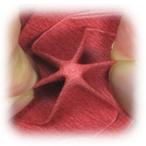 37th picture of origami poinsettia flower