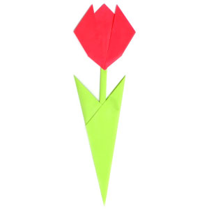 origami tulip