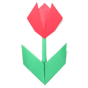 origami tulip