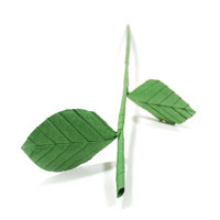 hollow origami rose flower stem image