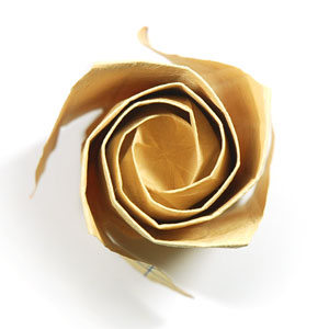 62th picture of Fuller-bloom Kawasaki rose origami flower