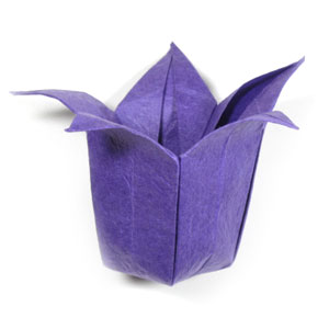 46th picture of origami bellflower