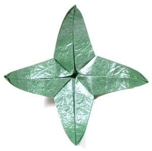 7th picture of CB superior origami calyx