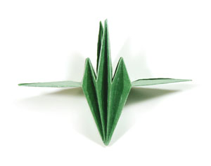 32th picture of super origami calyx