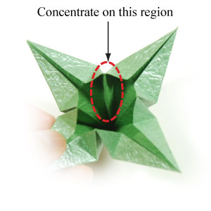 34th picture of super origami calyx