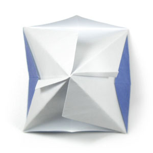 20th picture of origami flower, morning glory