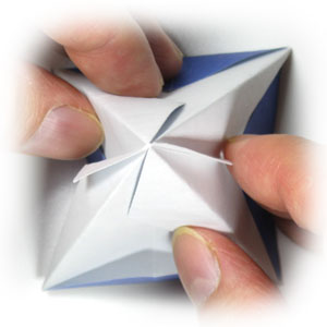 21th picture of origami flower, morning glory