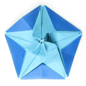 24th picture of origami flower, morning glory with five petals