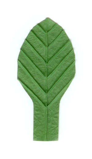 15th picture of single origami leaf