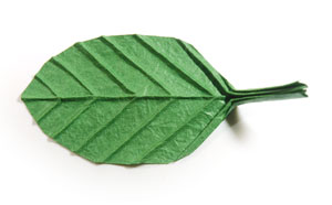 19th picture of single origami leaf