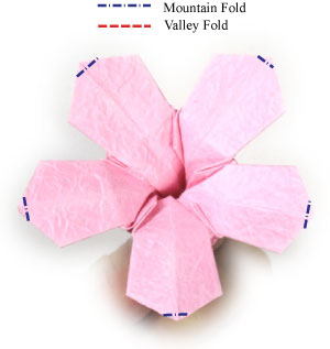 34th picture of origami phlox flower with five petals