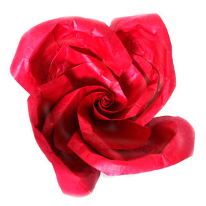 lovely origami rose  paper flower