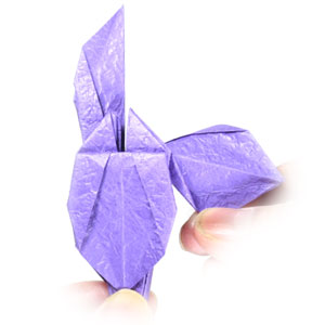 21th picture of traditional origami iris flower