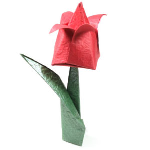 origami tulip